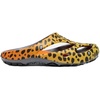 Thc Cheetah Rainbow