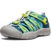 Legion Blue/Evening Primrose