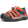 Safety Orange/Fjord Blue