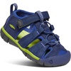 Blue Depths/Chartreuse