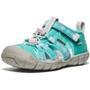 Bright Aqua/Giggle Pink
