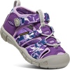 Camo/Tillandsia Purple