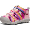 Rainbow/Festival Fuchsia