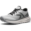 Alloy/Steel Grey