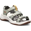 Desert Sage/Castor Grey