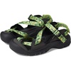 Tarragon/Black