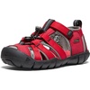 Racing Red/Gargoyle